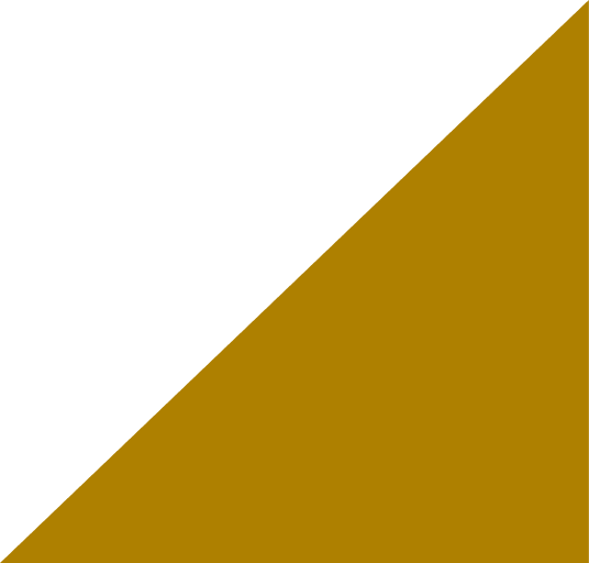 Vector bg2